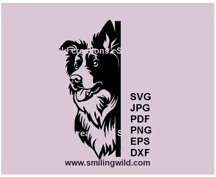 Border Collie peeking SVG – Black & white vector clipart for laser cutting