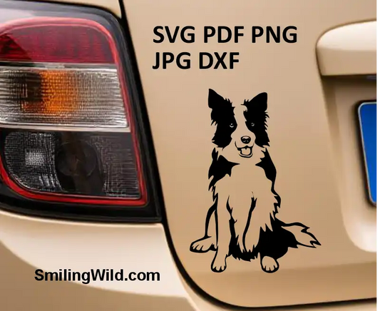 A car sticker with a Border Collie sitting dog clipart in black made of SVG PNG cut file for crafts and engraving