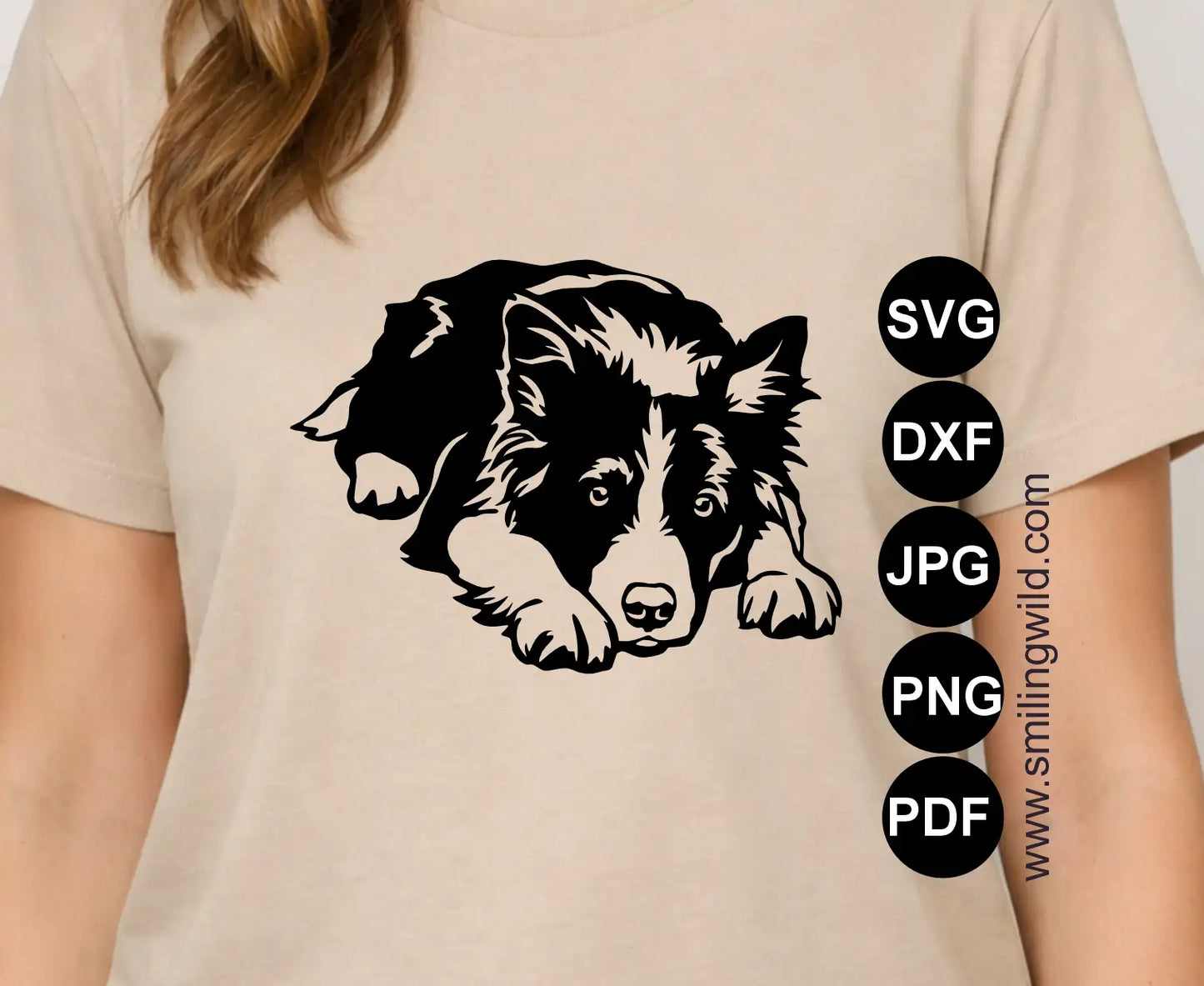 High-resolution Border Collie dxf and svg vector paths optimized for precision laser engraving and vinyl cutting.