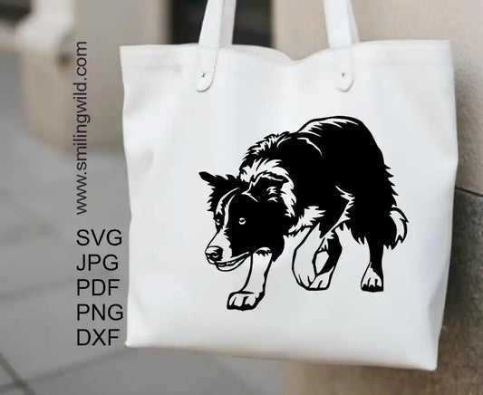 Cuttable working Border Collie vector graphic in SVG, PNG, DXF formats for precise vinyl cutting, engraving, and digital artwork.