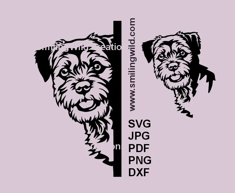 Realistic Border Terrier dog looking around the corner vector clipart – SVG, PNG & DXF digital design for Cricut and laser cutting