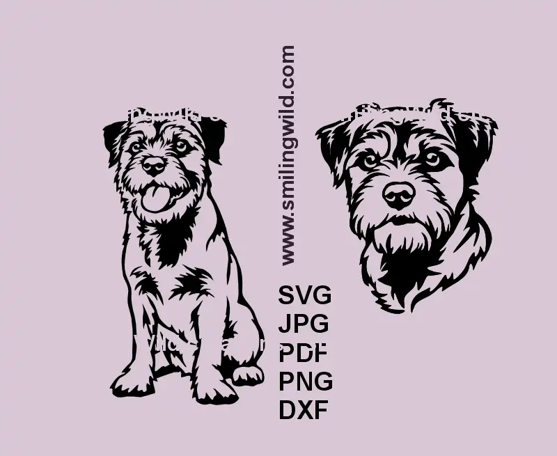A head and Full body Border Terrier black vector graphic for laser and Cricut