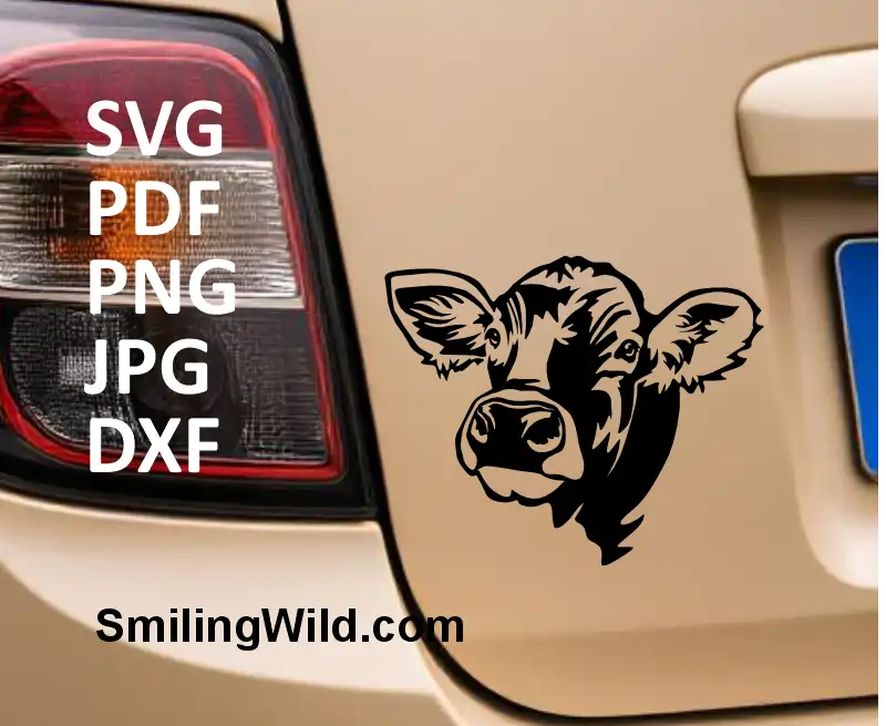 Braunvieh cattle SVG and png digital cut file – realistic livestock vector graphic for Cricut and laser cutting