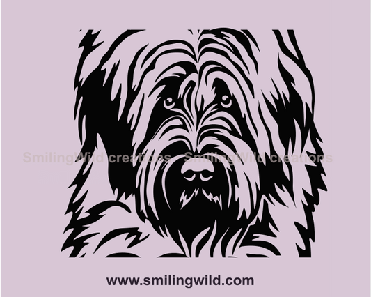 peeking briard vector style drawing