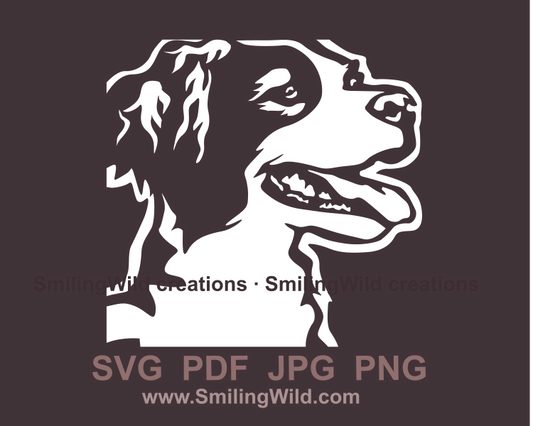 brittany spaniel white design image