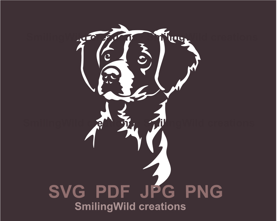 Brittany spaniel with alert look clip art style porrait in white color