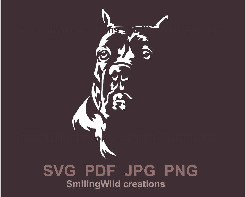 cane corso white digital design in graphic art style