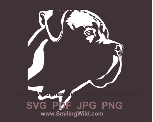 cane corso digital design in white color