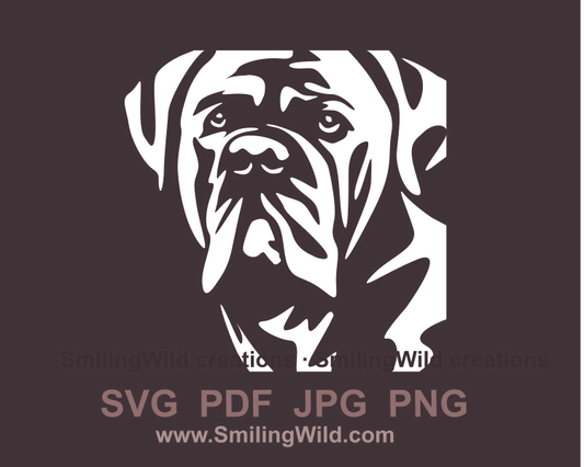 cane corso face in vector clip art style