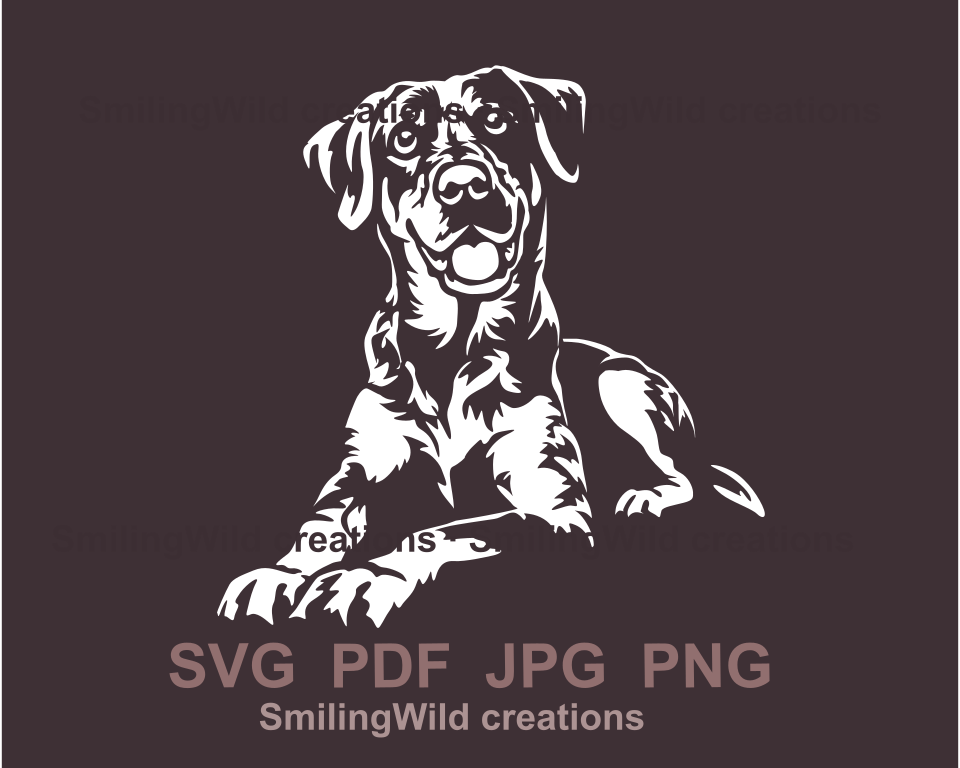 lying and smiling catahoula leopard dog in a white clip art desing