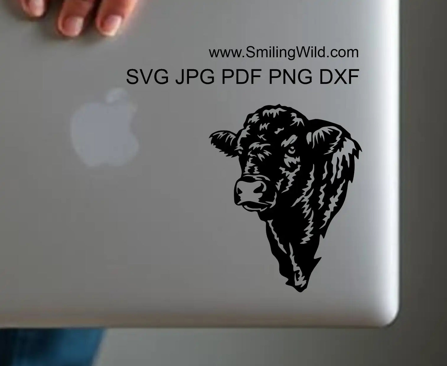 cattle Clipart image preview of Black Galloway cattle head svg cut file