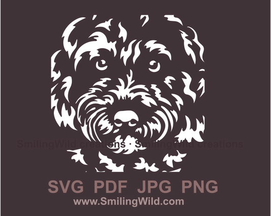 cavapoo face clip art drawing