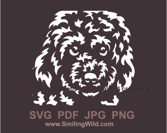 cavapoo face made in vector clip art style