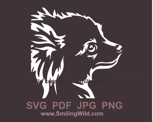 chihuahua portrait close up made in white graphic