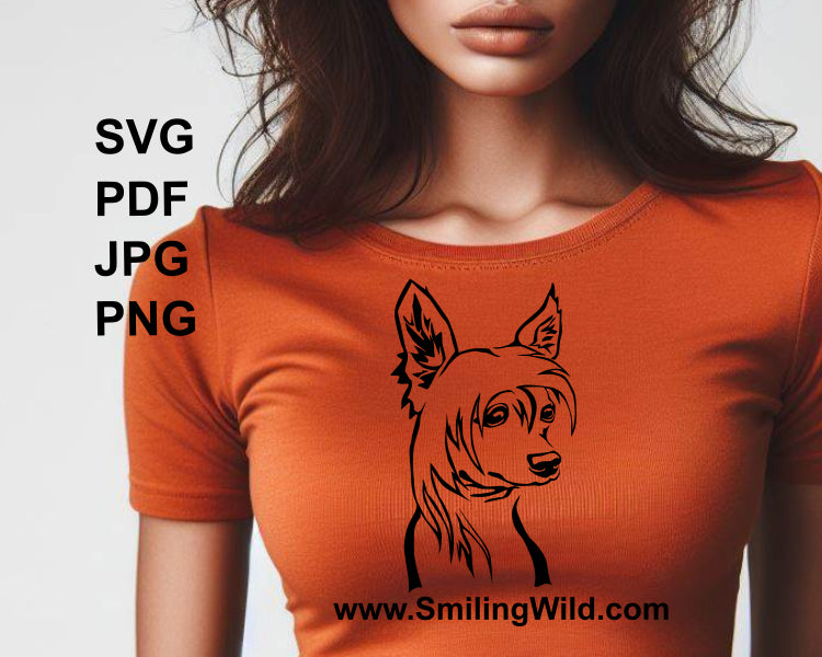 chinese crested svg design printed on an orenge t shirt