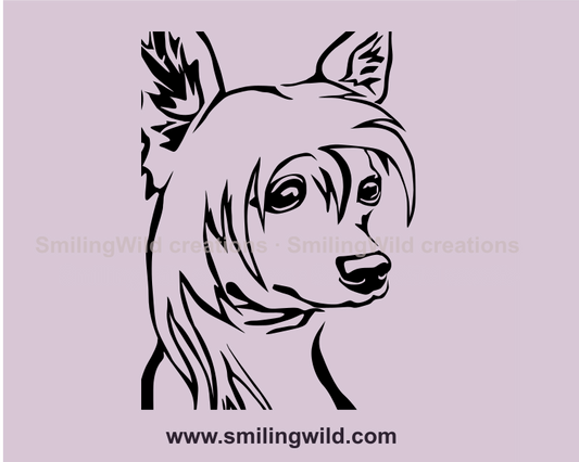 chinese crested vector graphic illustration clise up