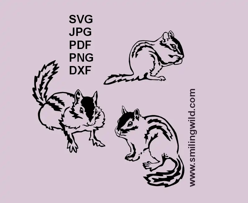 White chipmunk SVG clipart file for dark material laser cutting projects