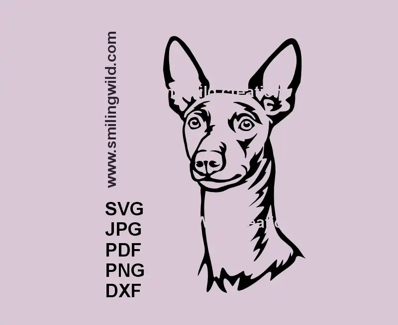 Black vector face portrait of Cirneco dell’Etna dog in SVG, png and dxf cut file for Cricut and laser cutting in black color