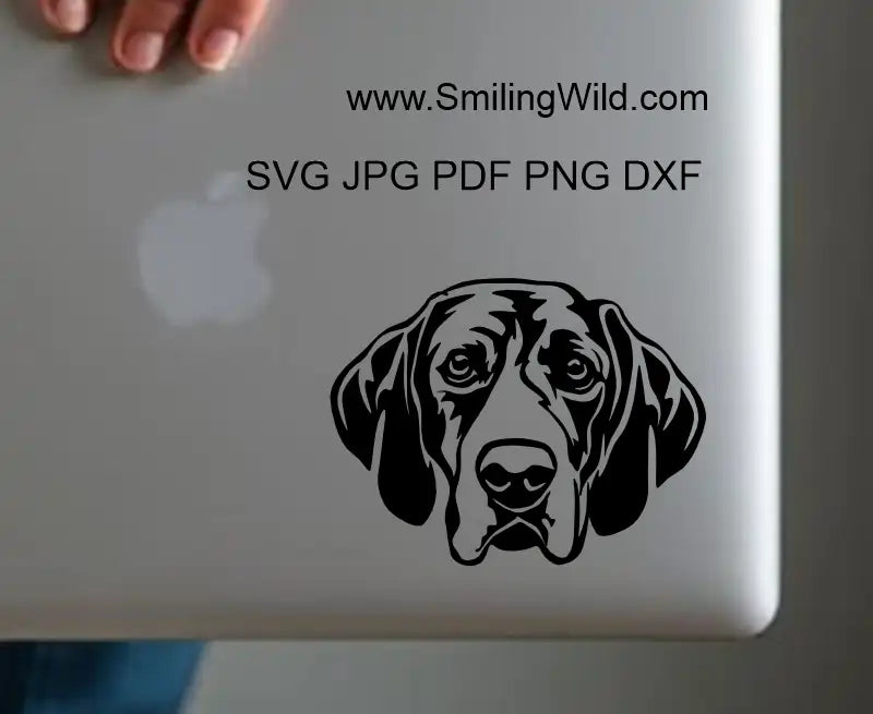 Coonhound SVG PNG DXF digital design cuttable craft file for vinyl and laser projects