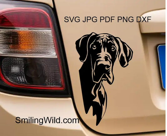 Peeking Great Dane svg & PNG – detailed vector clipart for dog crafts and vinyl cutting projects