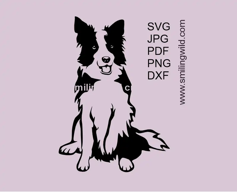 Cute Border Collie sitting dog SVG PNG DXF cuttable vector graphic for Cricut and laser cutting