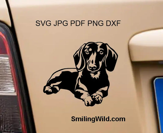 Lying Dachshund png clipart applied to a car decal, emphasizing the spirited eye and body design of a sausage dog.