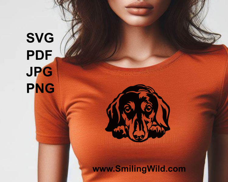 t shirt with an application of a black dachshund with an irresistible look