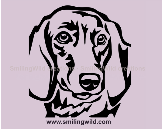 dachshund close up portrait