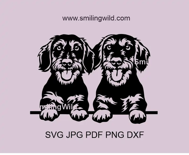 peeking Wirehaired Dachshund - also known as sausage dog Double Portrait SVG, png, dxf vector art files for Cricut and Laser Cutting