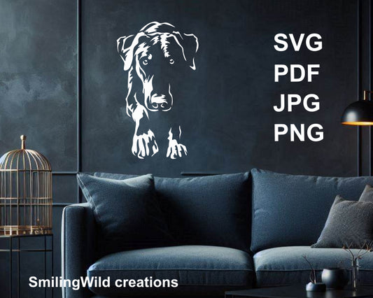 a dark wall with a doberman pinscher digital wall design on it