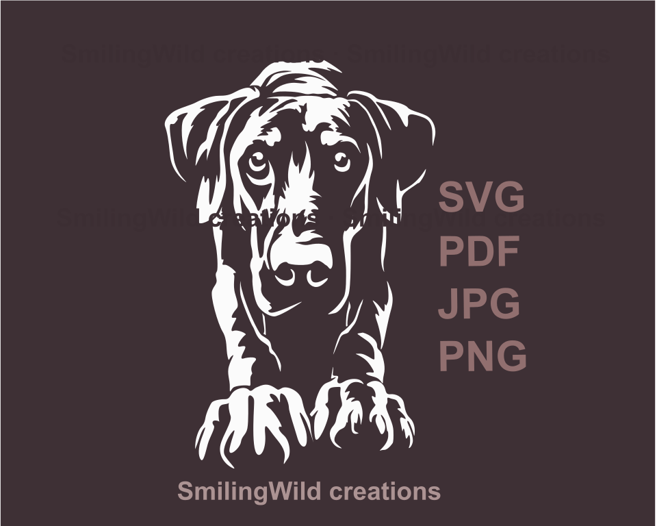 a walking doberman pinscher svg clip art design