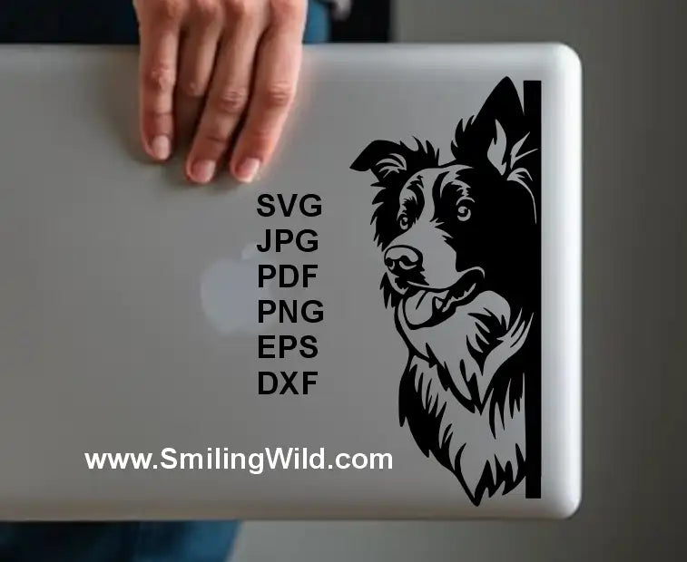 Peeking Border Collie DXF – High-quality dog corner art for Cricut and engraving