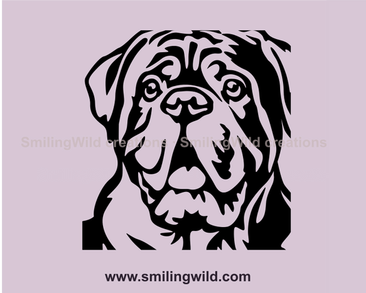 surprised face of dogue de bordeaux in close up frame