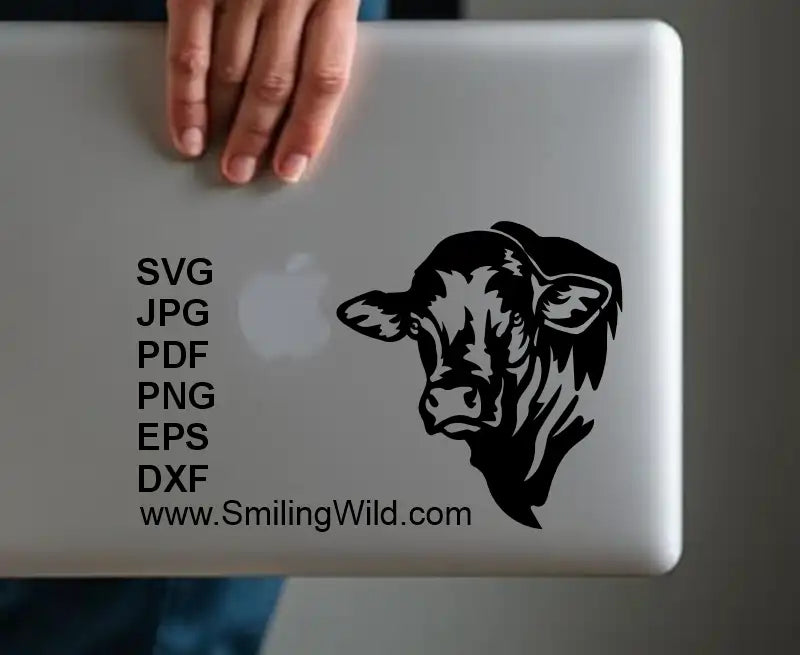Droughtmaster Bull SVG, DXF, PNG black clipart for laptop design, decals, Cricut, laser cutting, beef cattle crafts