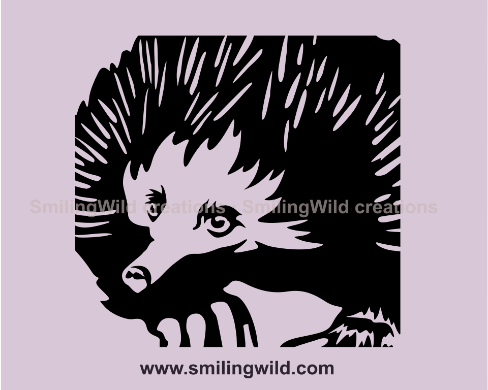 echidna clip art close up illustration