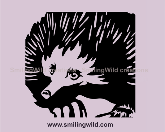 echidna clip art close up illustration