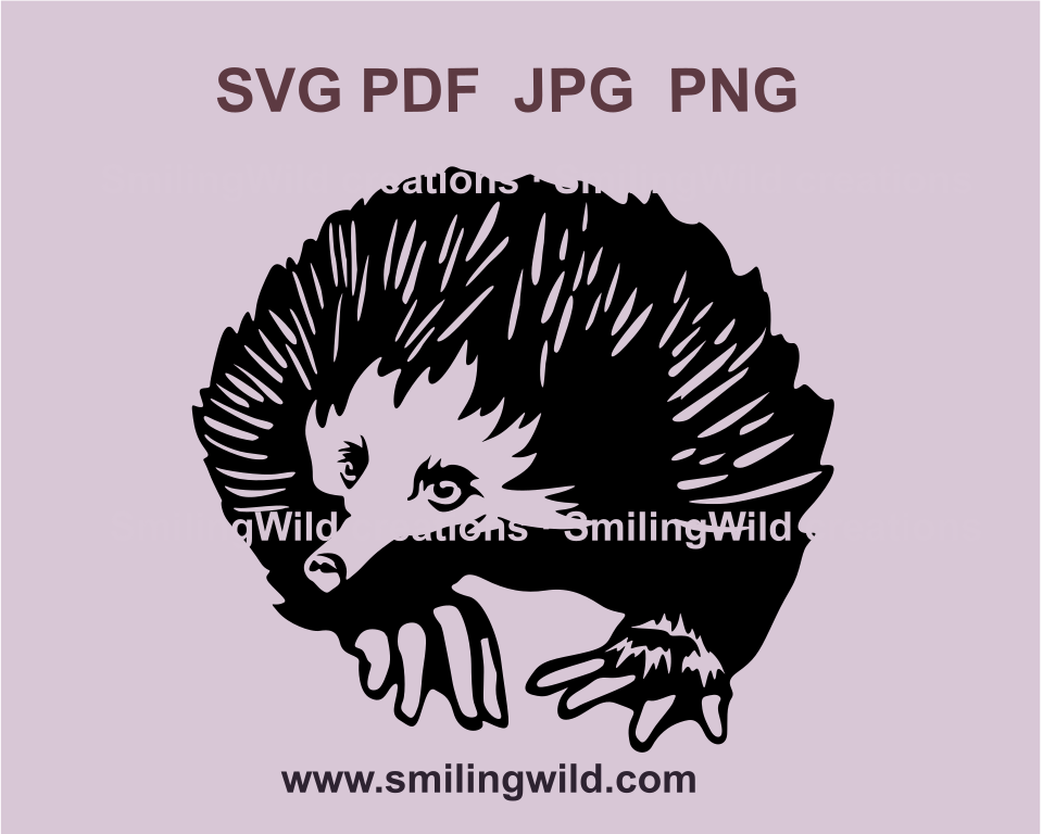 echidna digital cuttable drawing in a black line art