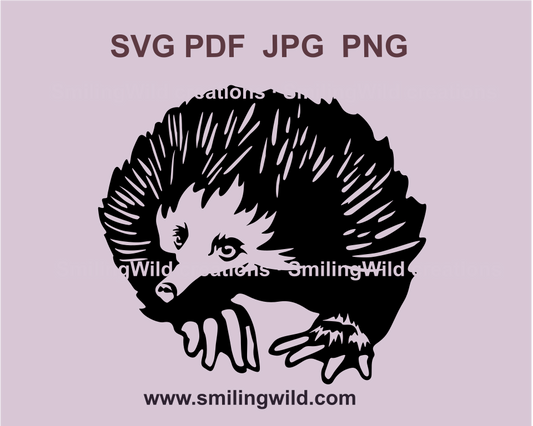 echidna digital cuttable drawing in a black line art