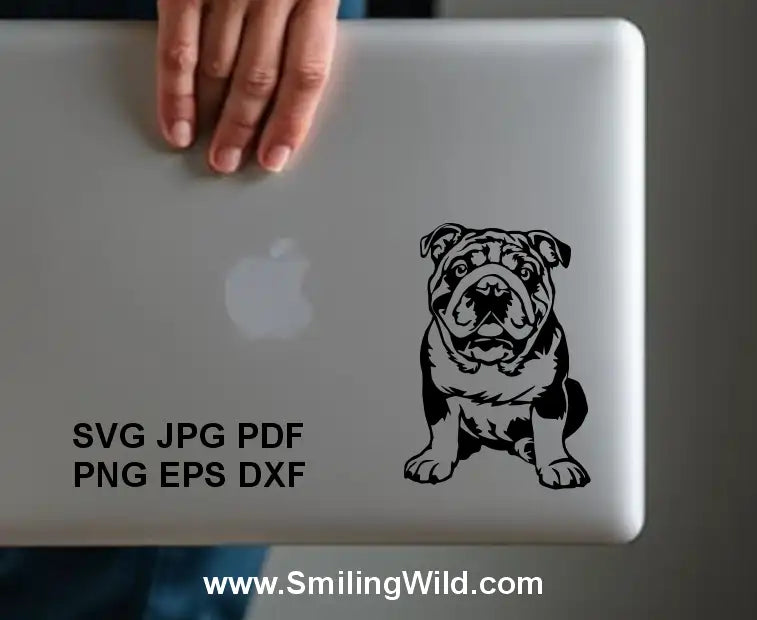 Sitting english bulldog sticker on laptop - desig of svg clipart digital vector file
