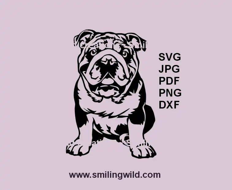 English Bulldog SVG sitting dog laser cut file – realistic black vector design for engraving, Cricut, and xTool projects