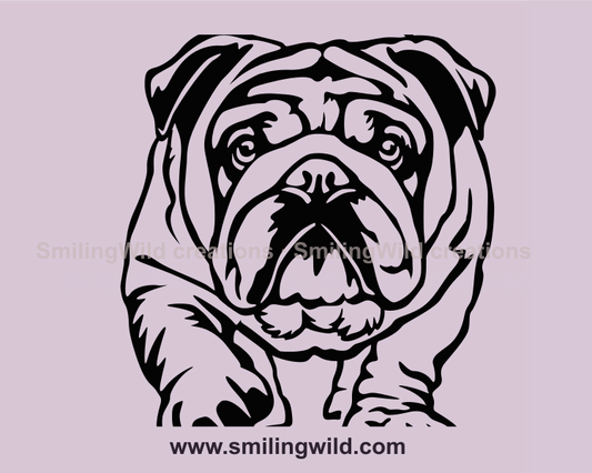 english bulldog vector art application with transparent background