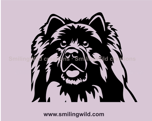 eurasier face in a vector image