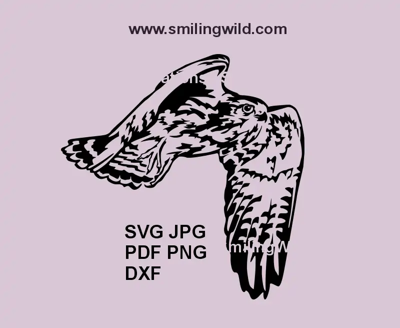 Falcon in flight SVG design featuring wings – ideal for Cricut and laser cutting wildlife projects
