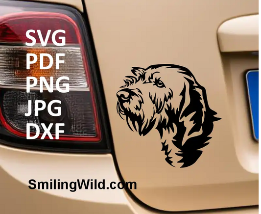 A sample image with Cuttable dog head vector drawing of Basset Fauve de Bretagne – SVG PNG DXF for engraving and paper cutting machines