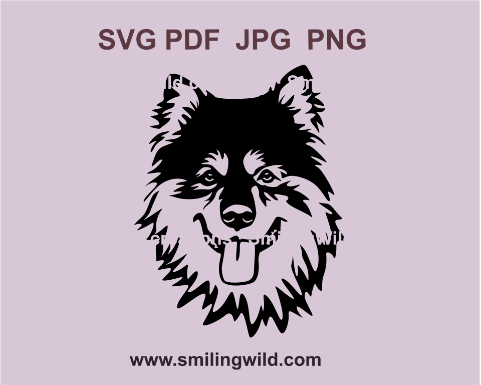 A head of a smiling finnish lapphund drawn in a svg clip art style