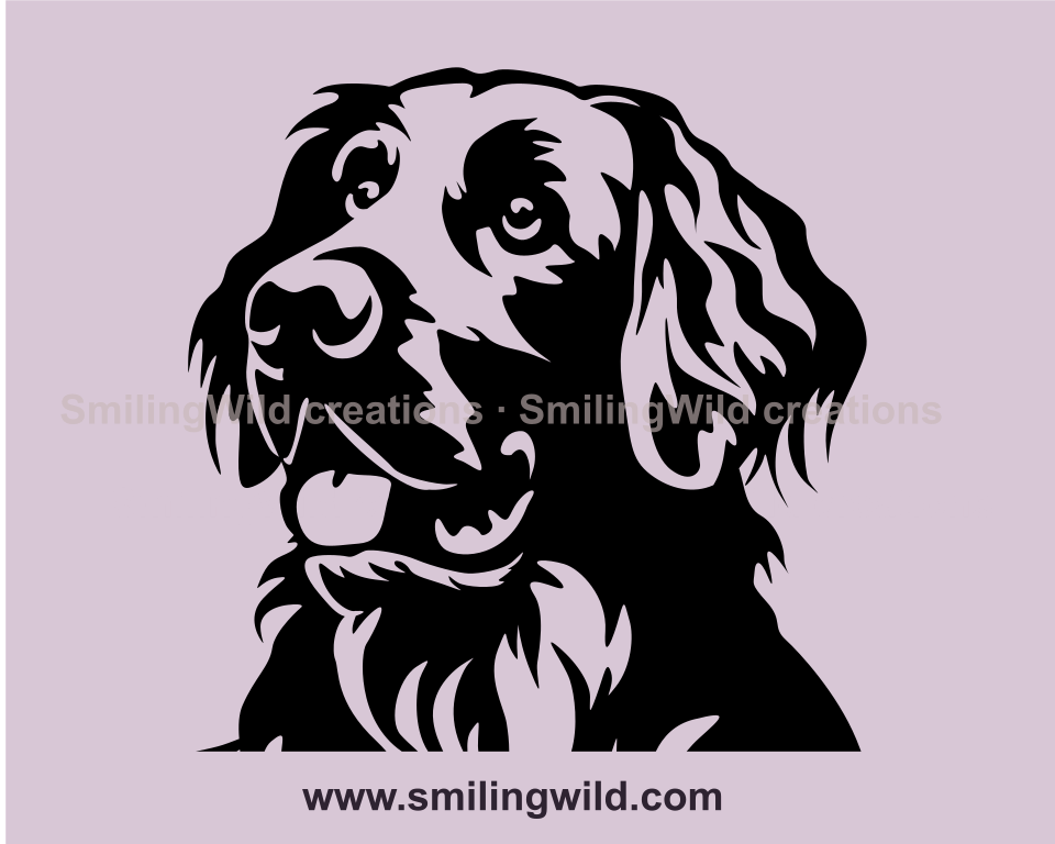 flat coated retriever face in clip ar close up image
