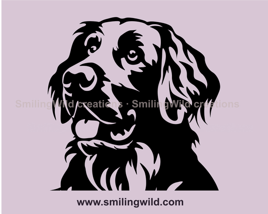 flat coated retriever face in clip ar close up image