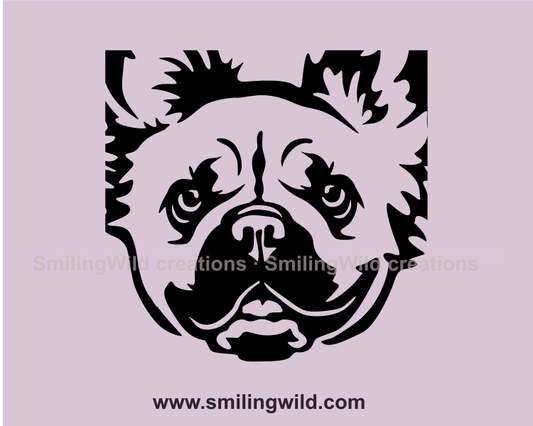 fluffy french bulldog fae in close up frame made in black graphic design