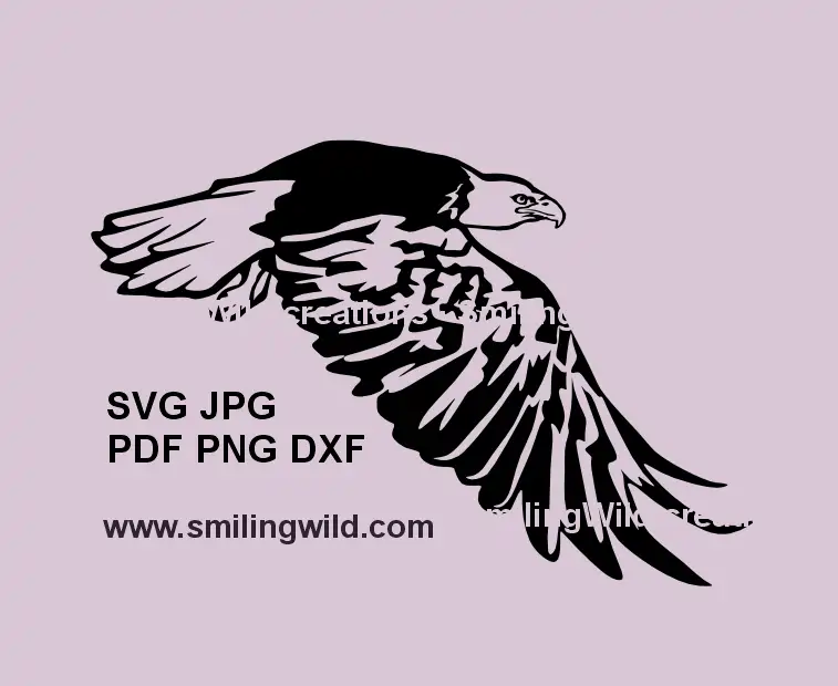 Flying Bald Eagle SVG clipart – soaring raptor silhouette for laser cutting and Cricut