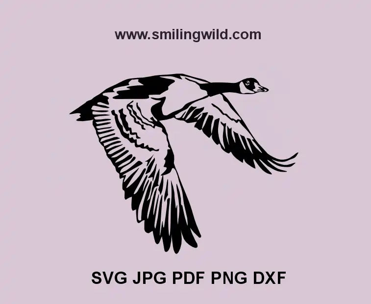 a clipart drawing in vector format of a flying canada goose